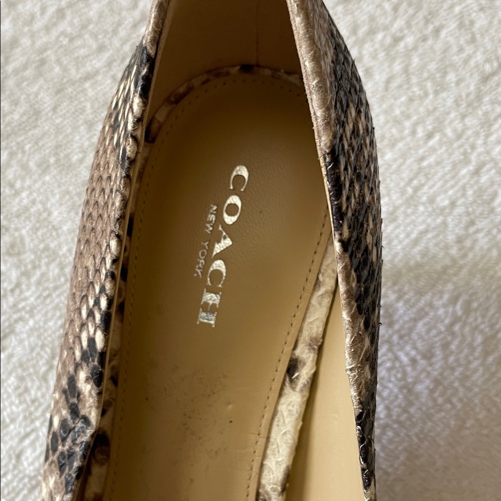 Coach Python Leather Pointed Toe Kitten Heels - image 3